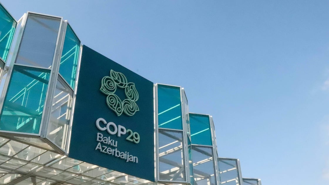 COP29